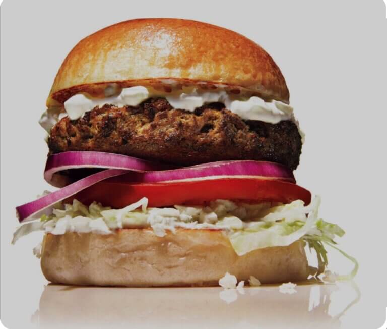 Gyro burger